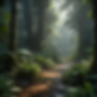 Lush vegetation in tropical rainforest understory