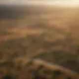 Aerial view of Maasai Mara savannas