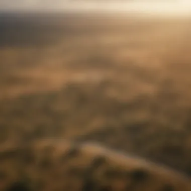 Aerial view of Maasai Mara savannas