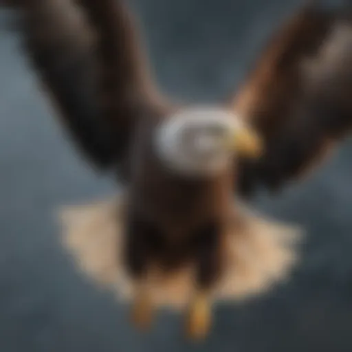 Majestic bald eagle soaring through the sky