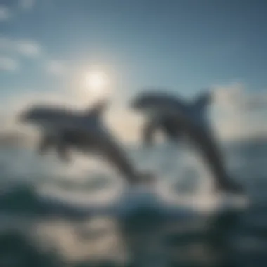 Graceful dolphins swimming in the ocean