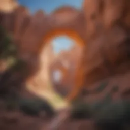 Majestic Arches of Utah