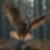 Majestic Big Horned Owl in Flight