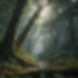 Majestic Canopy of a Rainforest