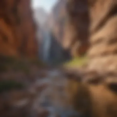Majestic Canyon Carved by Time Majestic Canyon Carved by Time