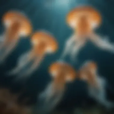 Majestic Drifters - A group of jellyfish majestically drifting in a synchronized dance under the sea's shimmering light.