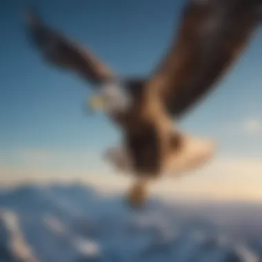 Majestic eagle soaring high in the blue sky