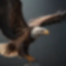 Majestic Eagle in Flight