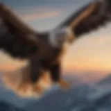 Majestic eagle soaring through the sky