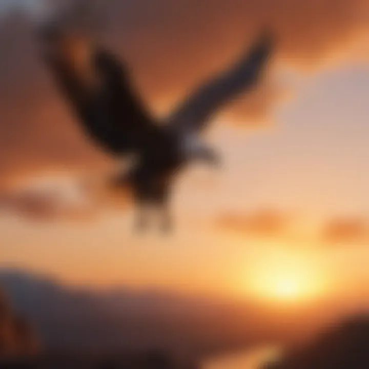 Silhouette of an eagle soaring against a vibrant sunset