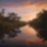 Majestic Everglades landscape at sunset