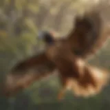 Majestic Hawk in Flight