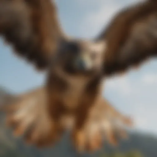 Majestic Hawk Soaring in the Sky