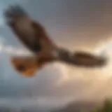 Majestic hawk soaring through the sky