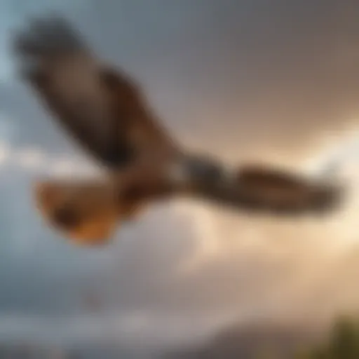 Majestic hawk soaring through the sky