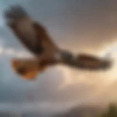 Graceful Flight of the Hawk Majestic hawk soaring through the sky