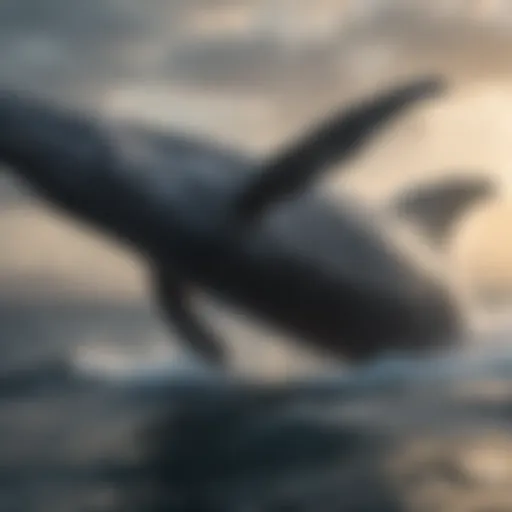 Majestic humpback whale breaching the surface