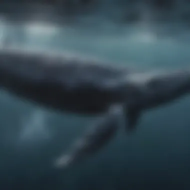 Majestic humpback whale swimming gracefully through the ocean