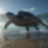 Majestic Leatherback Sea Turtle Gliding Through Ocean Waters