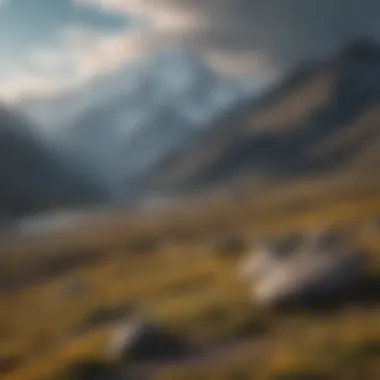 Majestic mountain peaks in Denali National Park