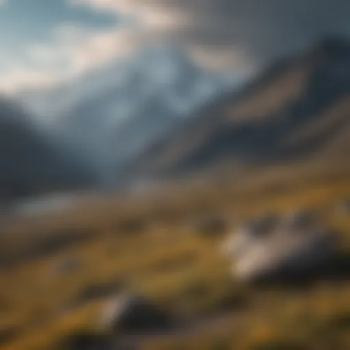 Majestic mountain peaks in Denali National Park