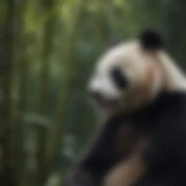 Majestic Panda in a Bamboo Forest