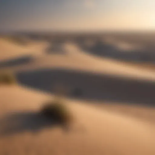 Majestic Sandhills Landscape Majestic Sandhills in Nebraska