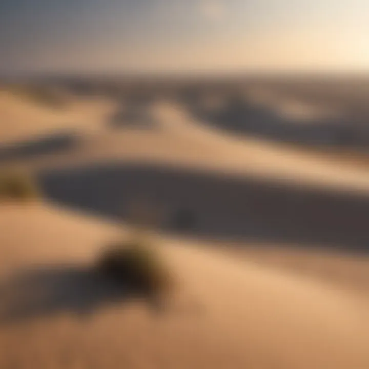 Majestic Sandhills Landscape Majestic Sandhills in Nebraska
