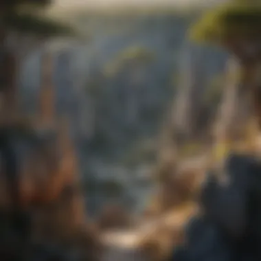 Majestic Tsingy de Bemaraha Stone Forest