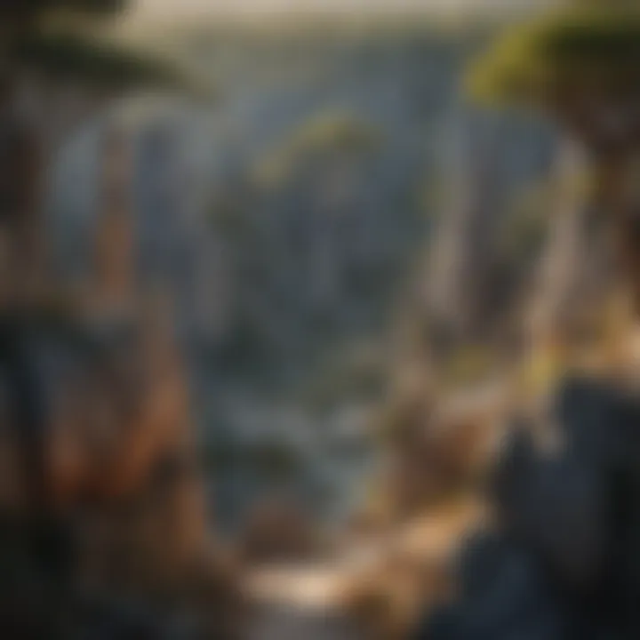 Majestic Tsingy de Bemaraha Stone Forest