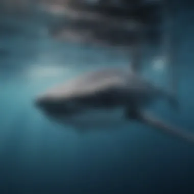 Majestic whale shark swimming gracefully in the ocean