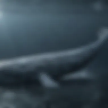 The Magnificence of Blue Whales A majestic blue whale swimming gracefully