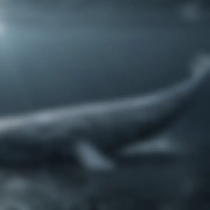 The Magnificence of Blue Whales A majestic blue whale swimming gracefully