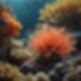 A vibrant coral reef teeming with diverse marine life