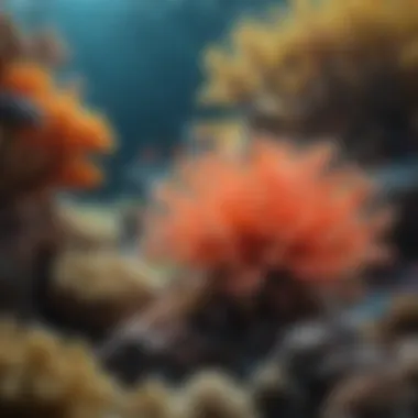 The Breathtaking Diversity of Coral Reefs A vibrant coral reef teeming with diverse marine life
