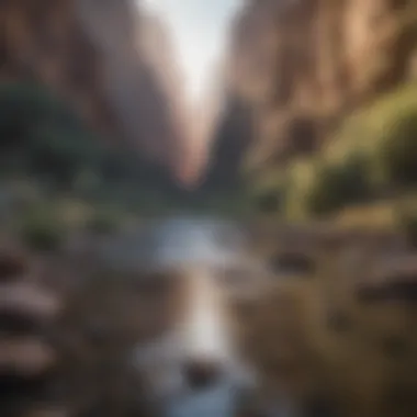 Mesmerizing Big Bend Canyon