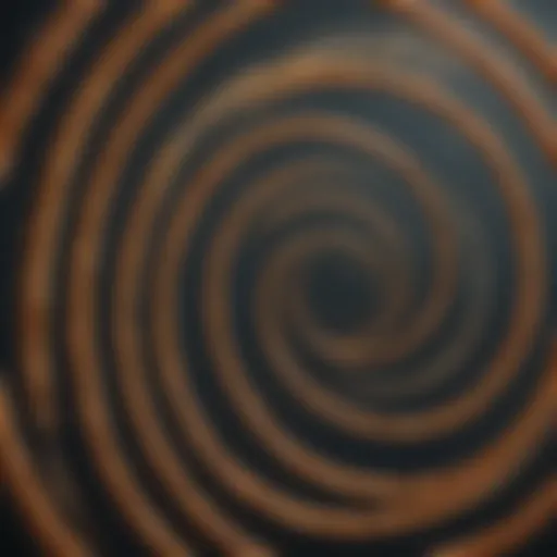 Mesmerizing Spiral Patterns