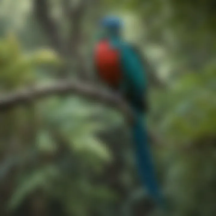 Majestic Quetzal perched on a lush tree branch