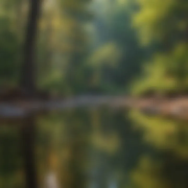 Breathtaking Scenery of Michigan's Diverse Landscapes