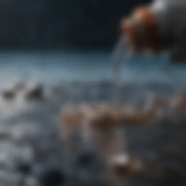 Purification Process in Action Microscopic view of water impurities being filtered out