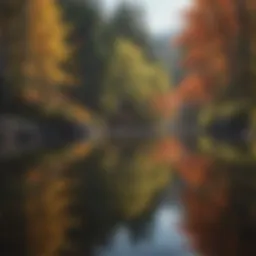 Majestic Reflections at Mirror Lake