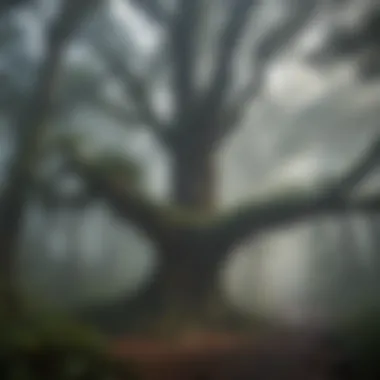 Mysterious fog enveloping ancient trees in the heart of the rainforest