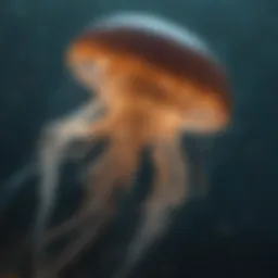 Mystical Jellyfish Enigma