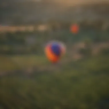 Colorful hot air balloons over Napa Valley vineyards