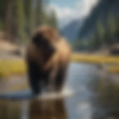 Nature's Majestic Canvas Yellowstone's stunning natural landscapes
