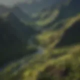 Aerial view of Hawaii's lush landscapes showcasing its diverse ecosystems
