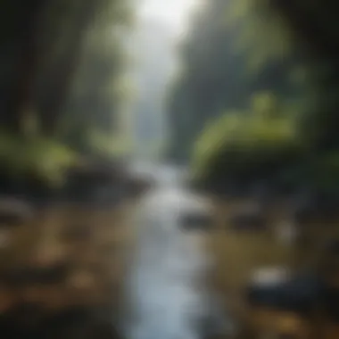 Freshwater sources in Hawaii, illustrating rivers and streams amidst natural settings