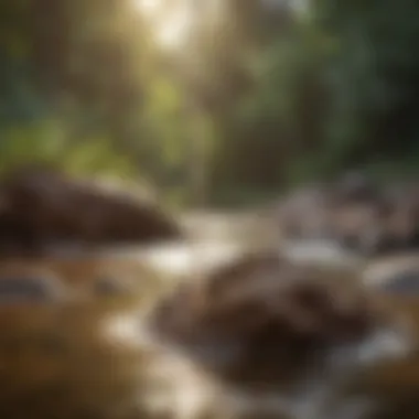 Natural Clay: Nature's Water Clarifier Natural clay demonstrating its filtering properties