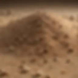 A close-up view of natural sand used in water filtration