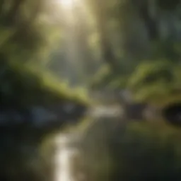 Nature's Filter